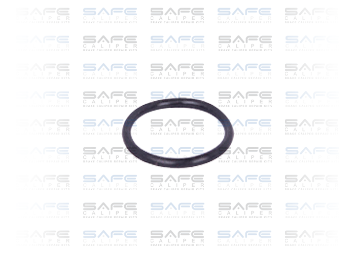 O-Ring