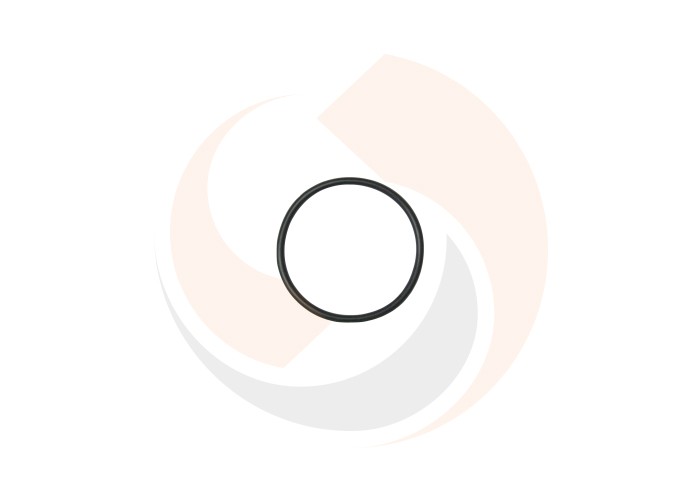 O-ring - 77004